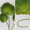 Foam Green Artificial Palm Leaves Faux Palm Tropical Leaves Fake Palm Fronds for DIY Wedding Bouquets Fake Leaves for Centerpieces Arrangements Bridal Shower Palm Leaf for Home Decor-6Pcs